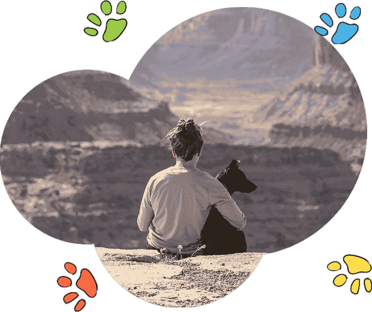 轰炸手机短信网站