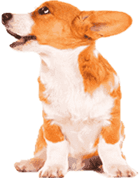 手机号码轰炸机免费版