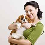 轰炸手机号在线使用